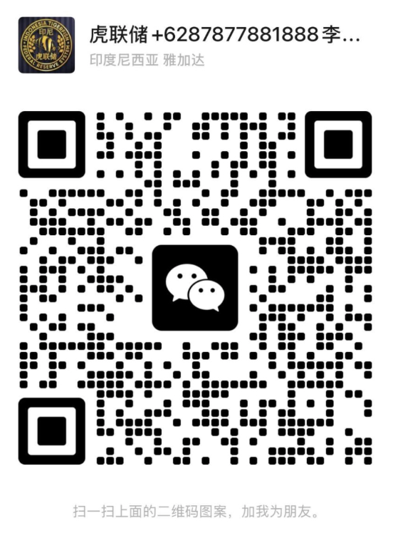 wechat the tiger fed Indonesia
